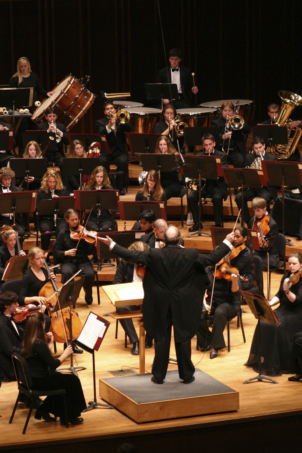 Orchestra Performance
